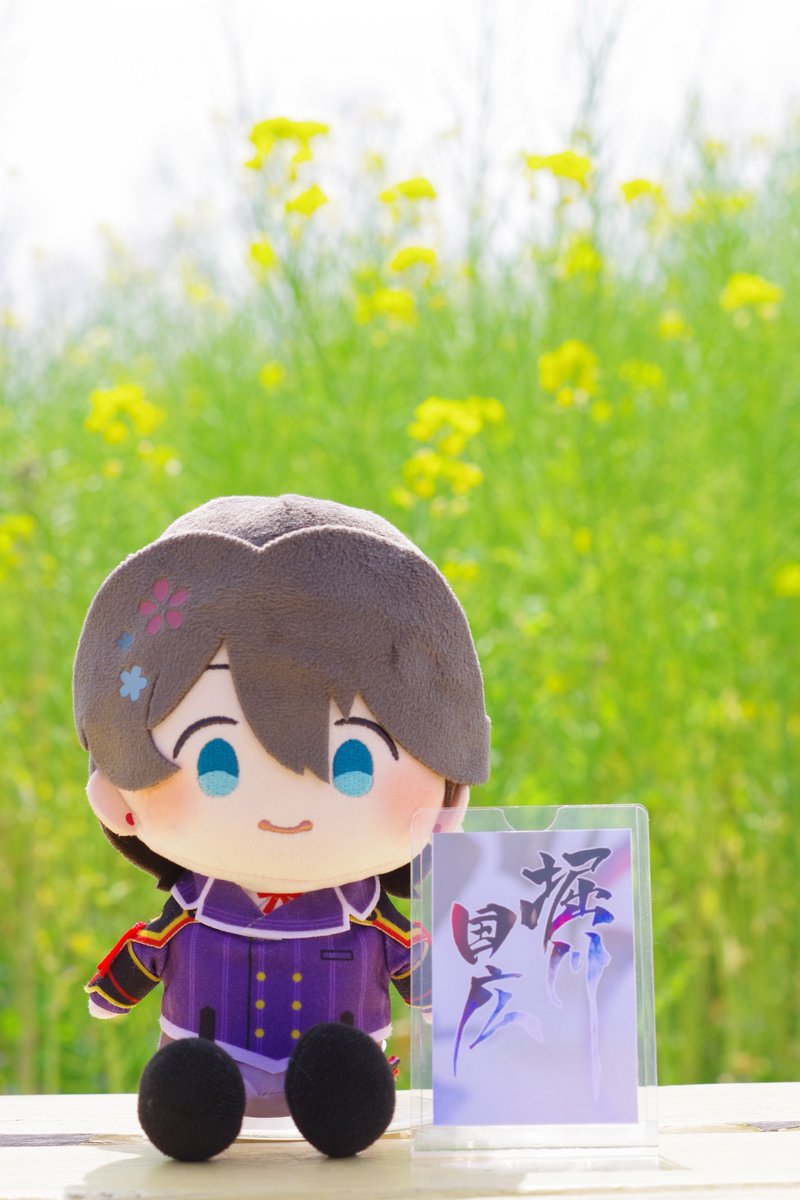 慶千代。📸さわりてぇ tweet media