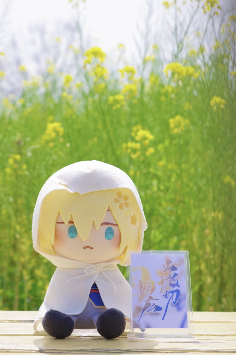 慶千代。📸さわりてぇ tweet media