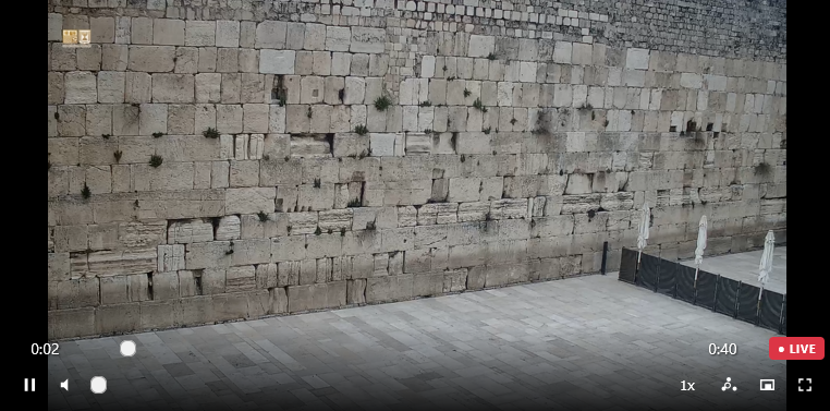 Omri SCHWARTZ tweet media