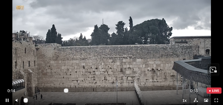 Omri SCHWARTZ tweet media