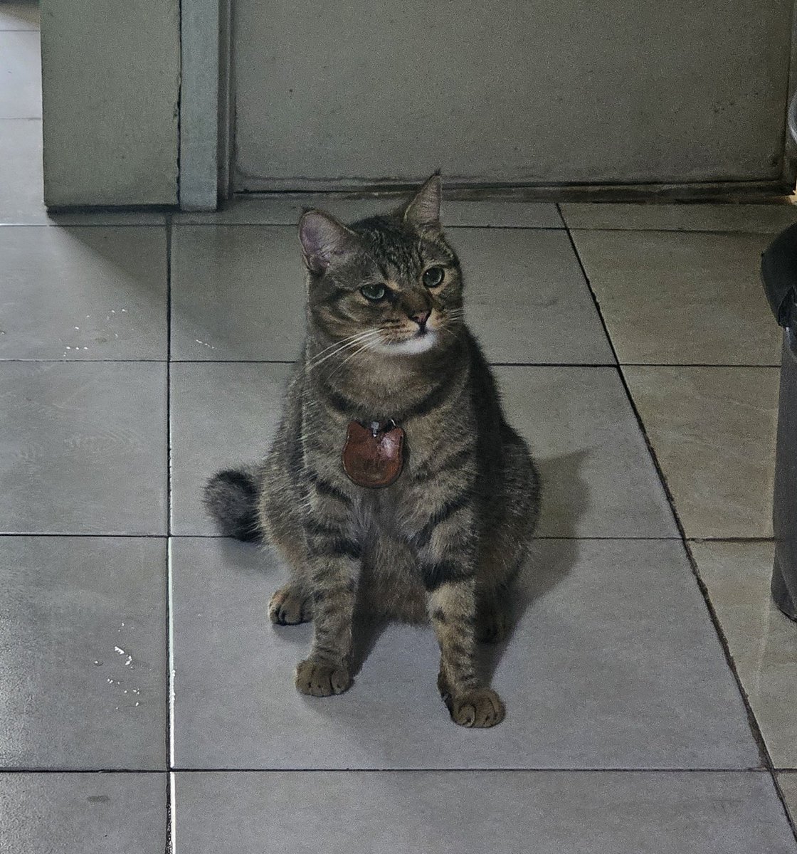 Vernando Ading tweet media