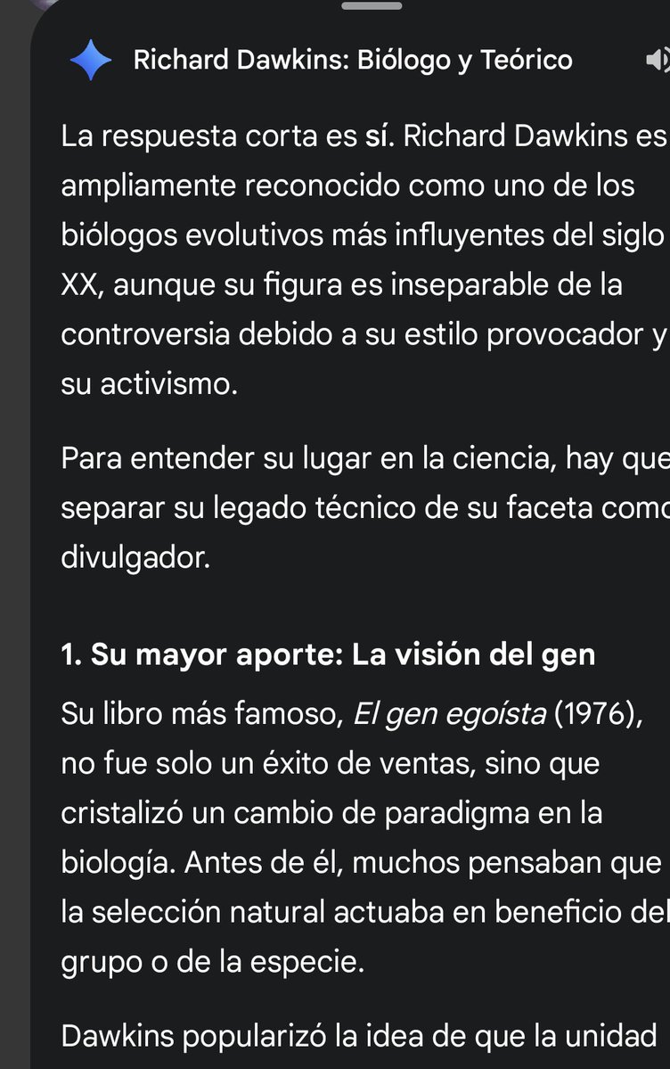 Oscar_dd tweet media