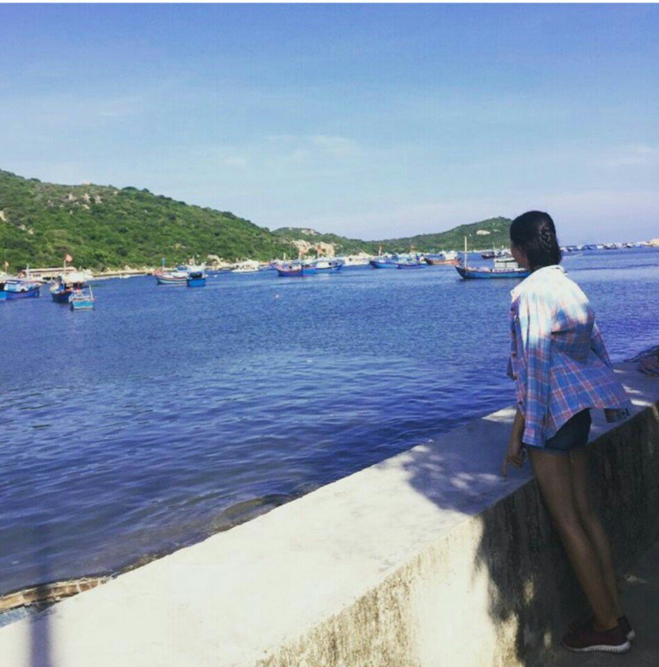Tươi Đặng | Phoebe tweet media