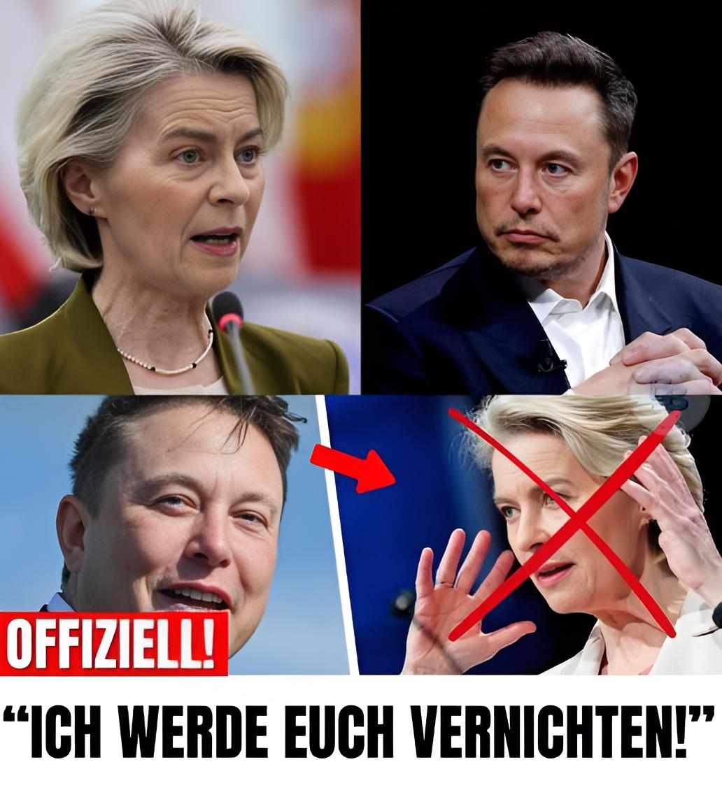 Pik-Ass 🇩🇪 tweet media