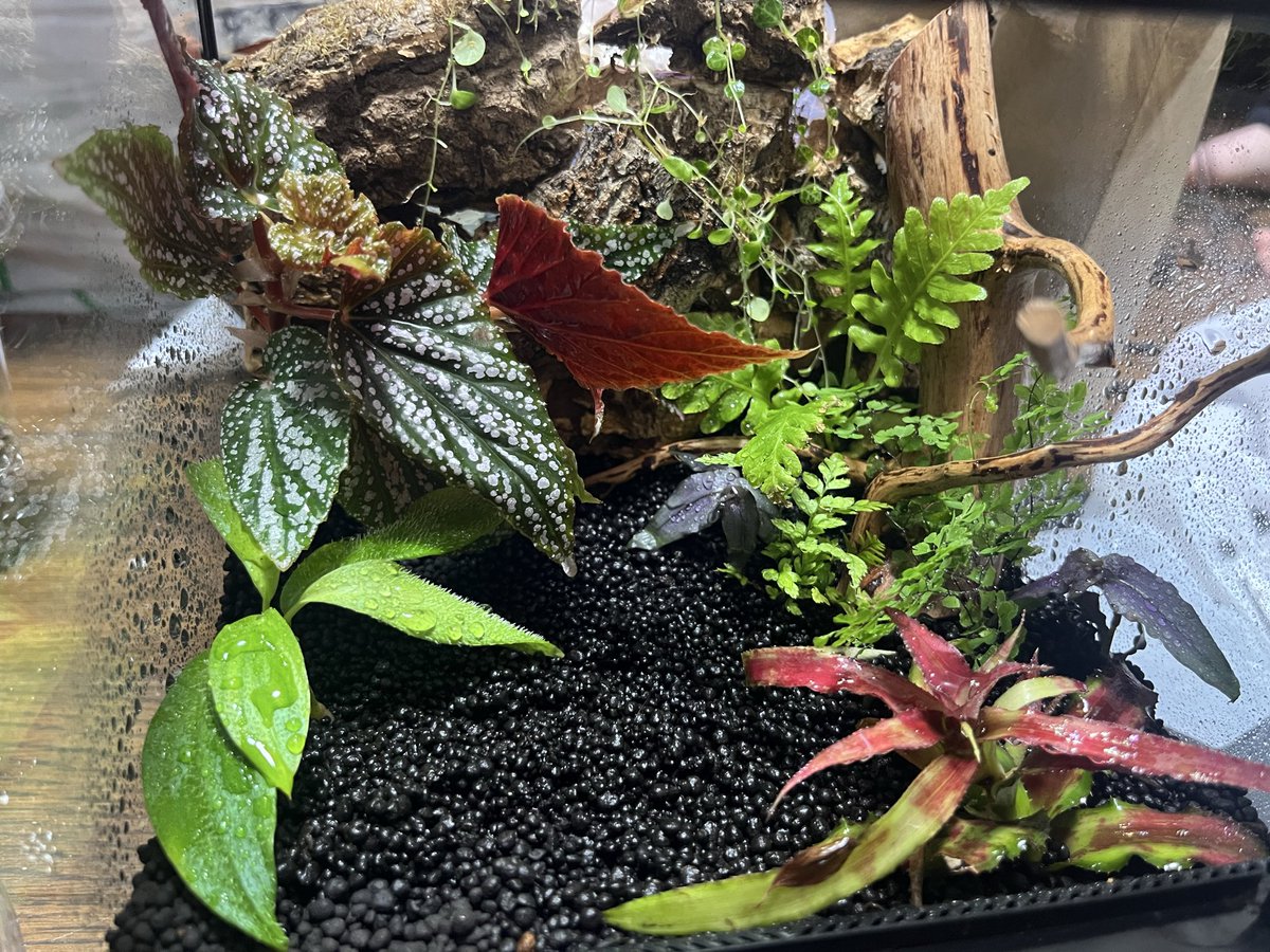 じゃすお tweet media