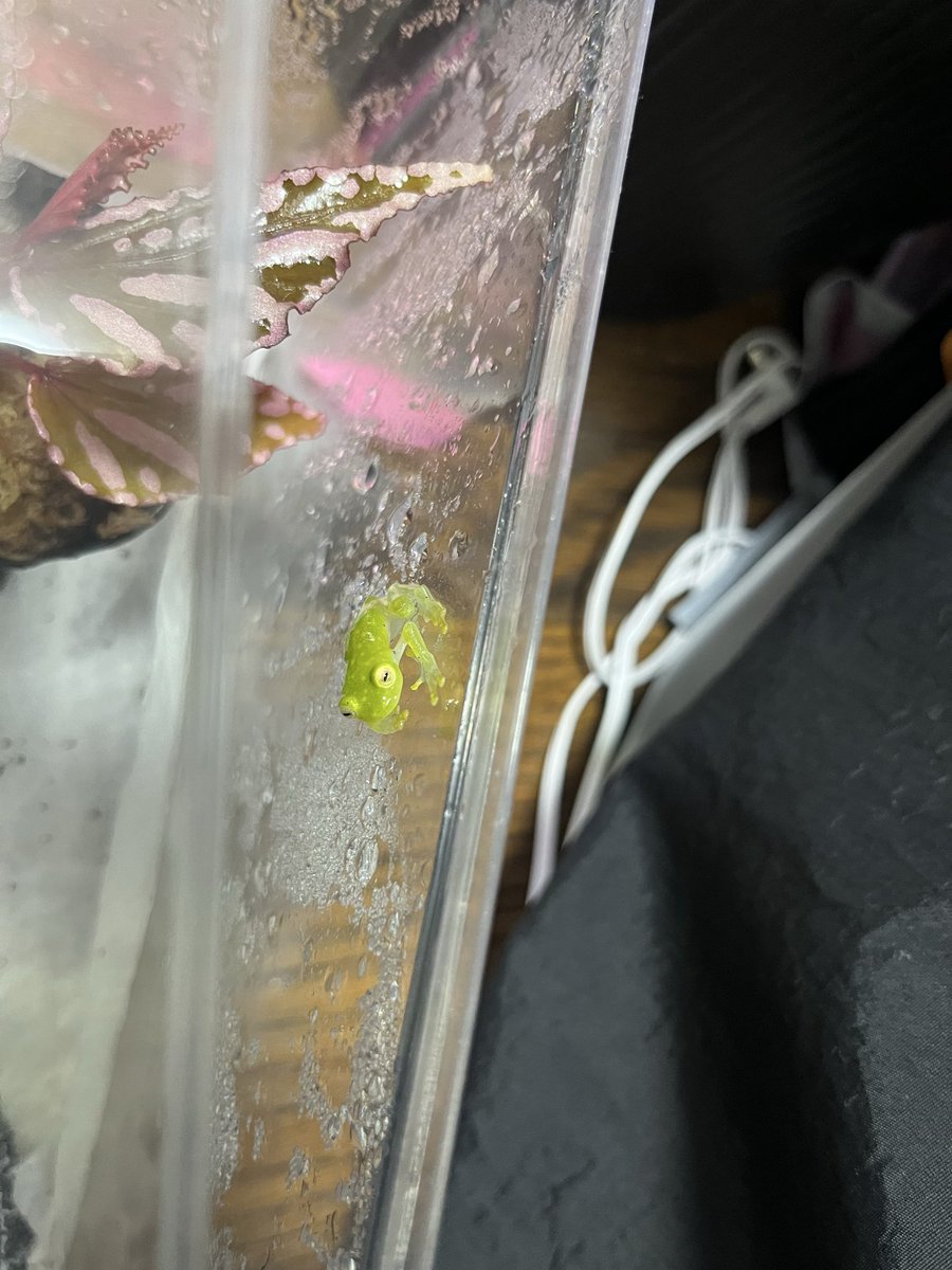 じゃすお tweet media