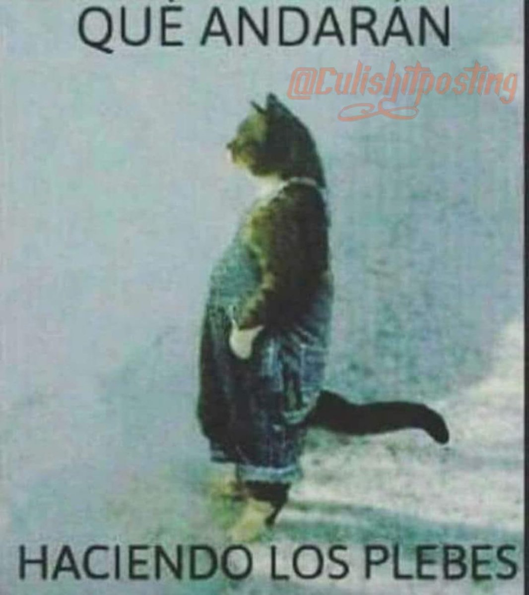 Culishitposting tweet media