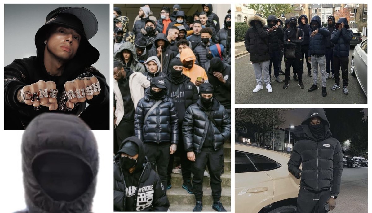 Max Malts tweet media