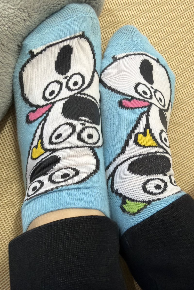 今日のくつ下🧦

超細々と通ってるパーソナルトレーニングのトレーナーが4月で別店舗に異動なので滑り込みで土曜日と今日行くんですか久しぶりに運動したせいで筋肉痛が未だに残ってます‼️

異動とて隣の店舗掛け持ちなのでめちゃくちゃ結果でたからそっち行こうかな🙄

 #今日のくつ下
 #こびと