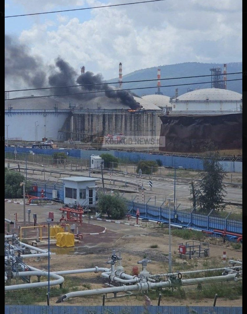 dan linnaeus tweet media