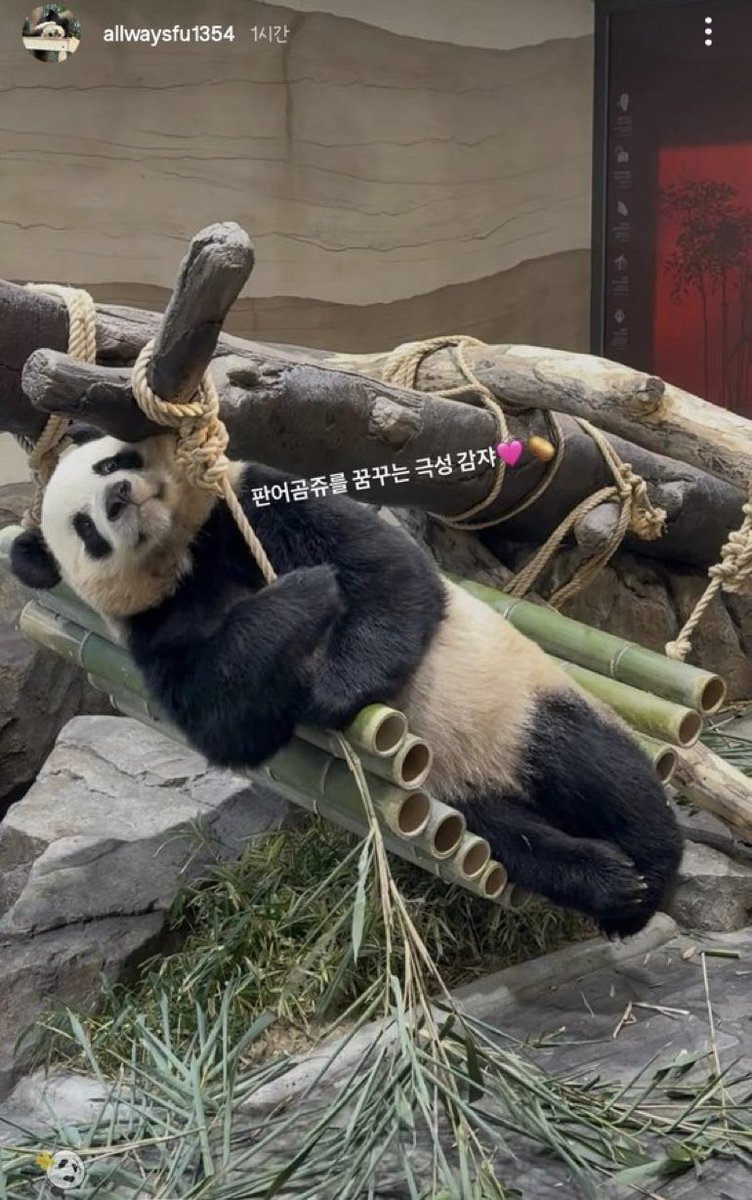 왜 요염한데요ㅋㅋㅋㅋㅋㅋㅋㅋㅋㅋㅋㅋㅋㅋㅋㅋㅋㅋㅋㅋㅋㅋㅋㅋㅋㅋㅋㅋㅋㅋㅋㅋㅋㅋㅋㅋㅋㅋㅋㅋㅋㅋㅋㅋㅋㅋㅋㅋㅋ