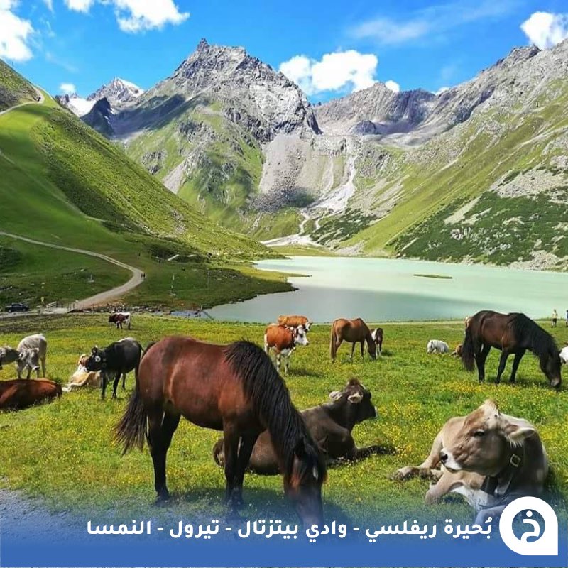 الخرائط السياحية ∣ TᴏᴜʀɪsᴛMᴀᴘs tweet media