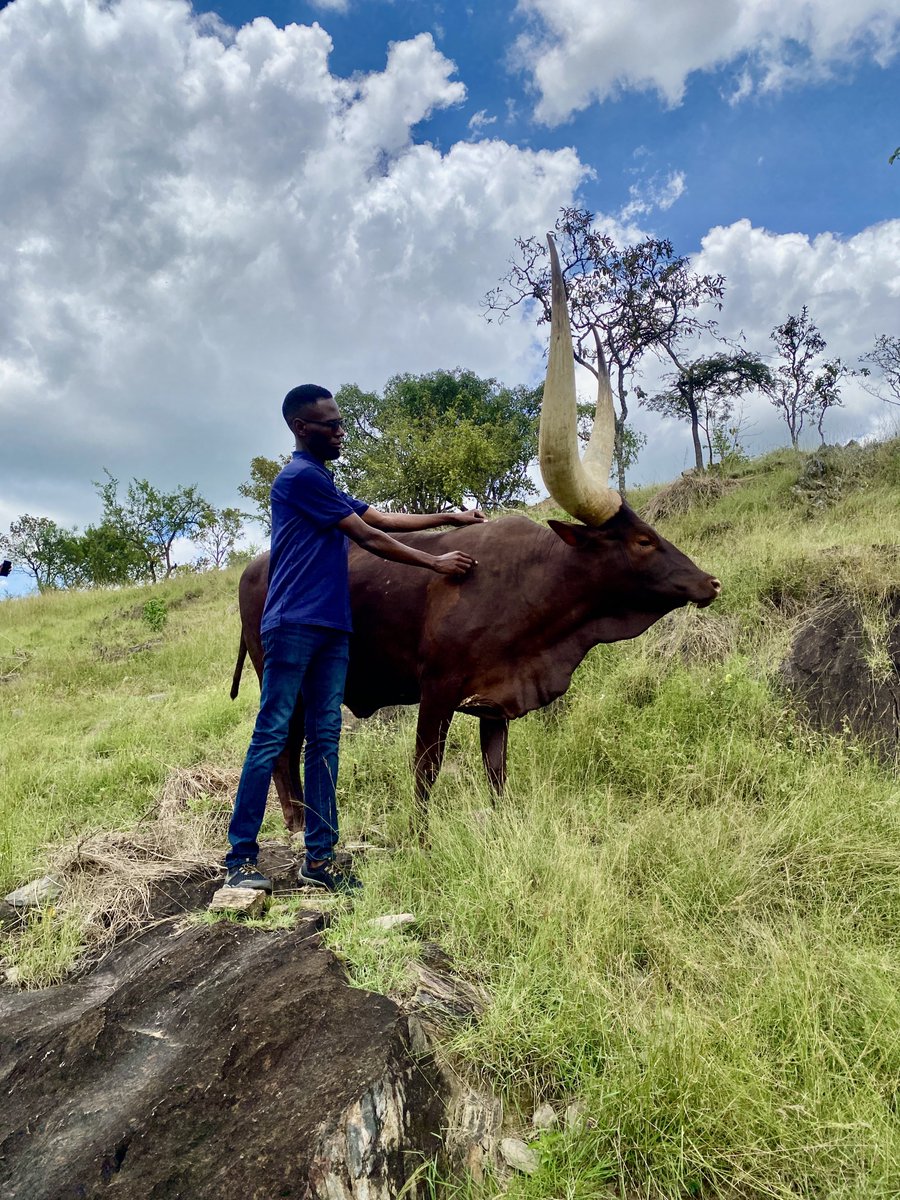 Taremwa Isaac R 🇺🇬 tweet media
