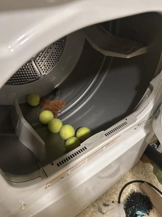 Sara Mary ⭐❤️ tweet media