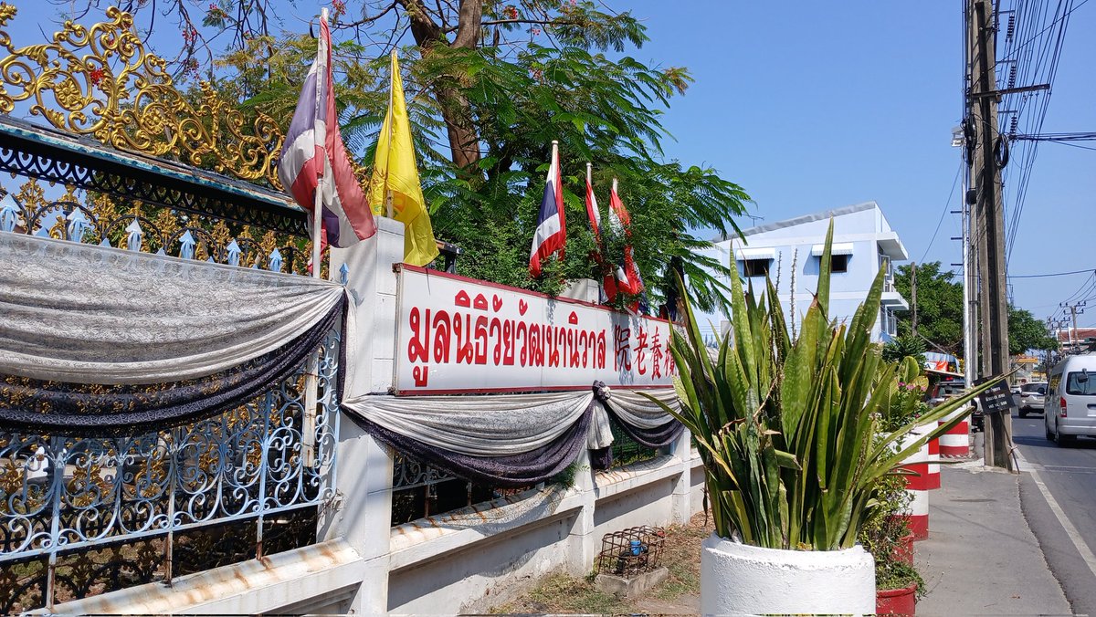 POPPTR_SUPPORT tweet media