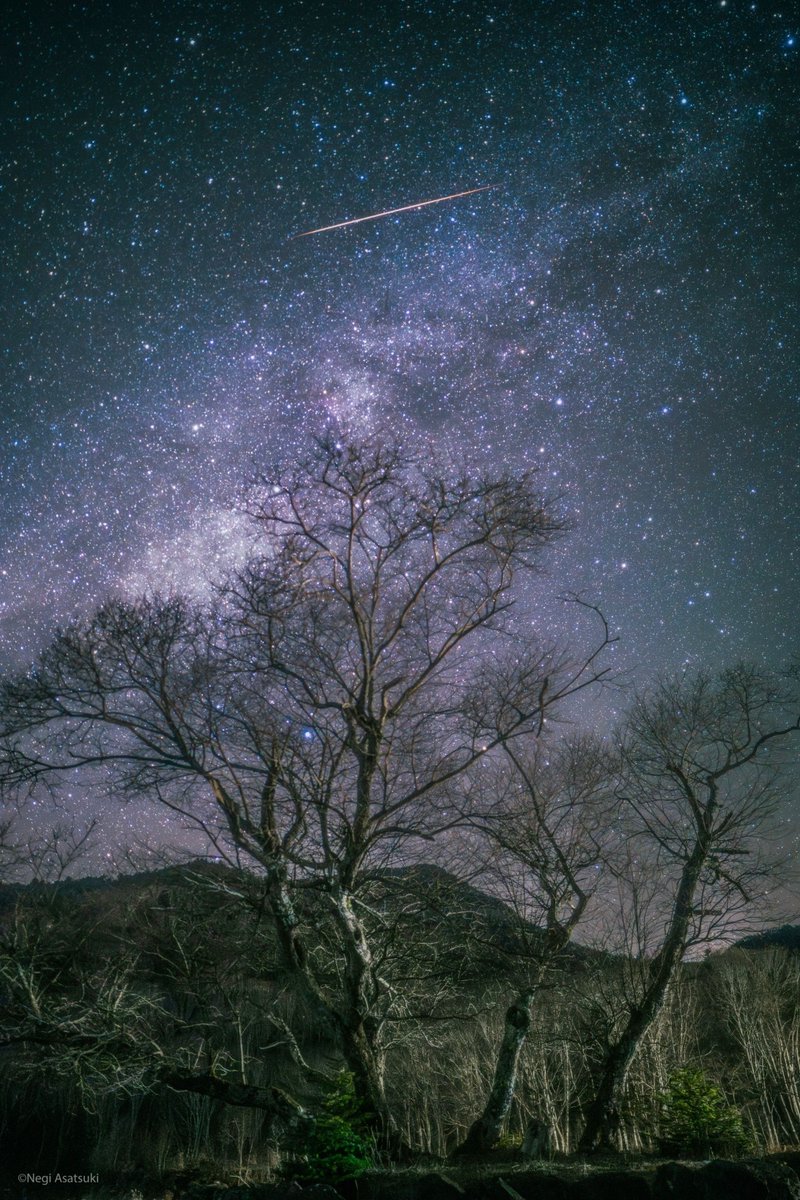 negiasa's tweet photo. 無数の星々 https://t.co/wbE0mBYDhr