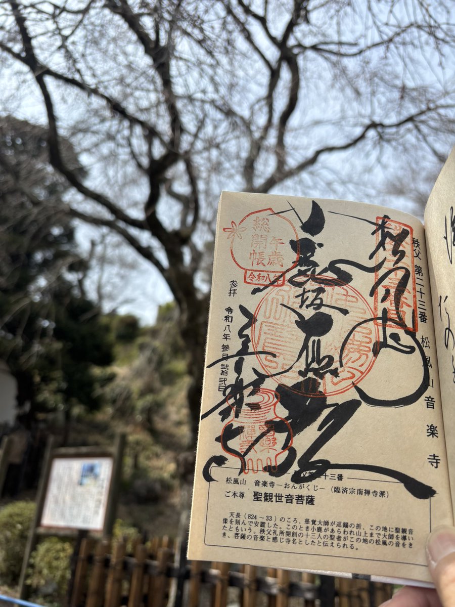 まひで😋🍦 tweet media