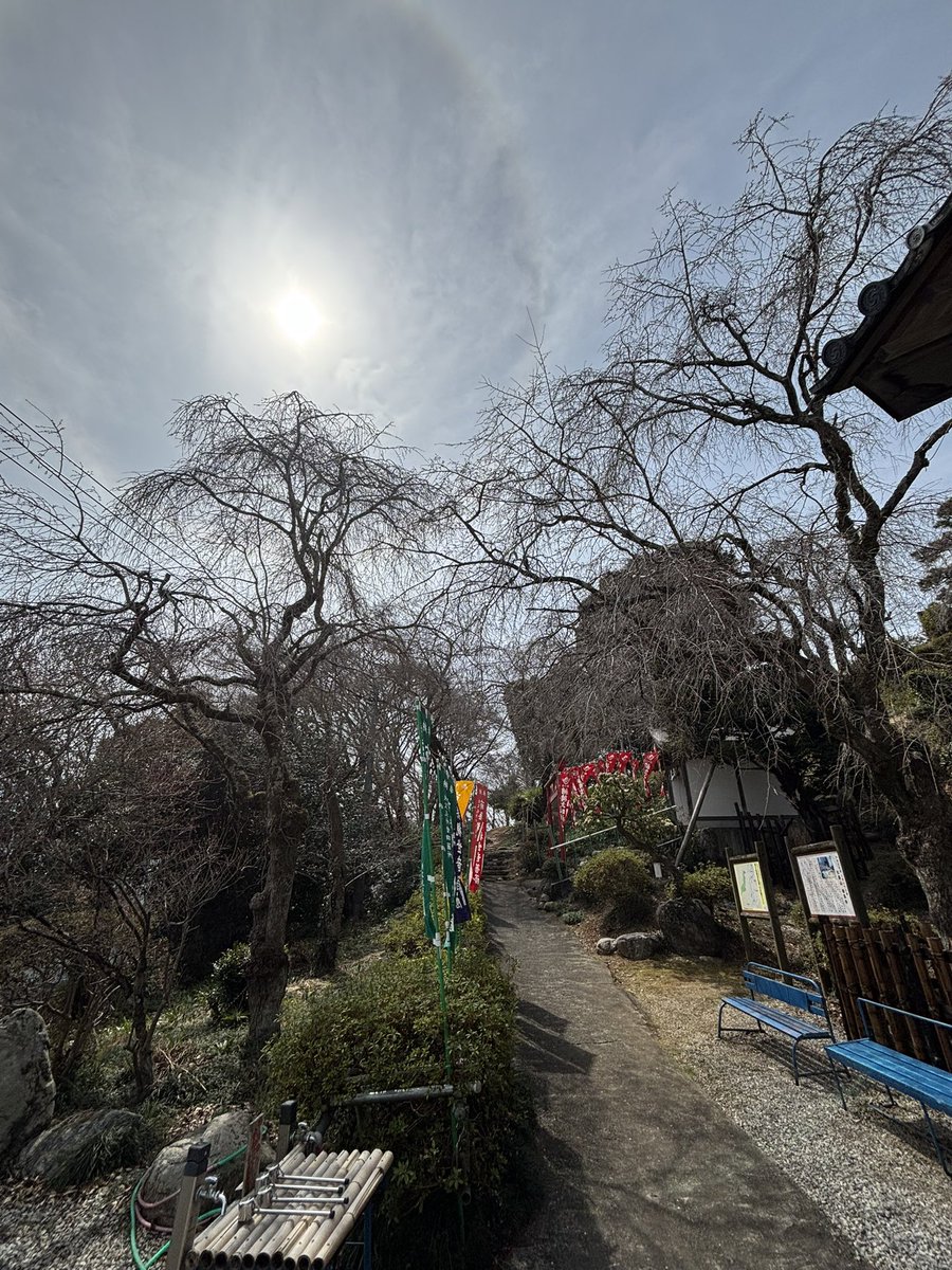 まひで😋🍦 tweet media