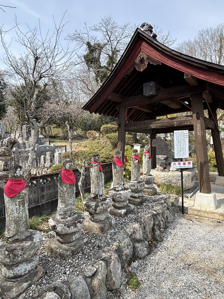 まひで😋🍦 tweet media