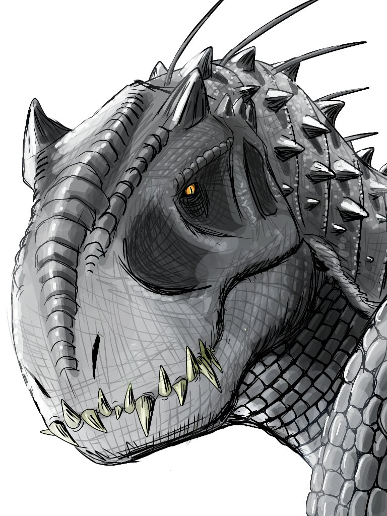 ディゼッタ tweet media