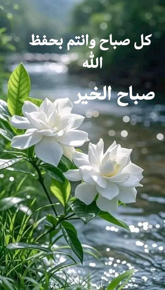 Alkarbalaei flag tweet media