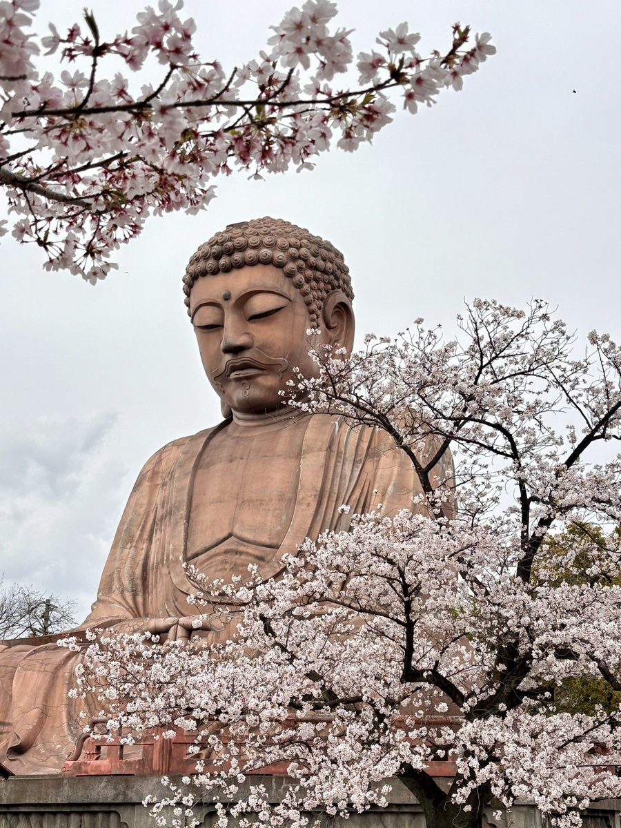 カナイ tweet media