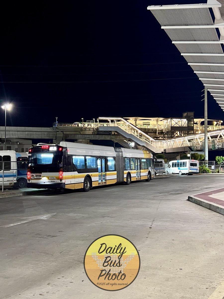 Daily bus photo? tweet media