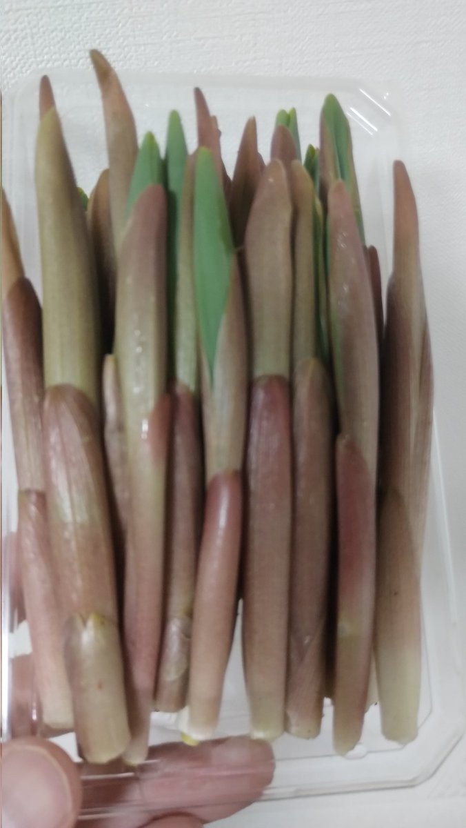 佐俣雄一郎 tweet media