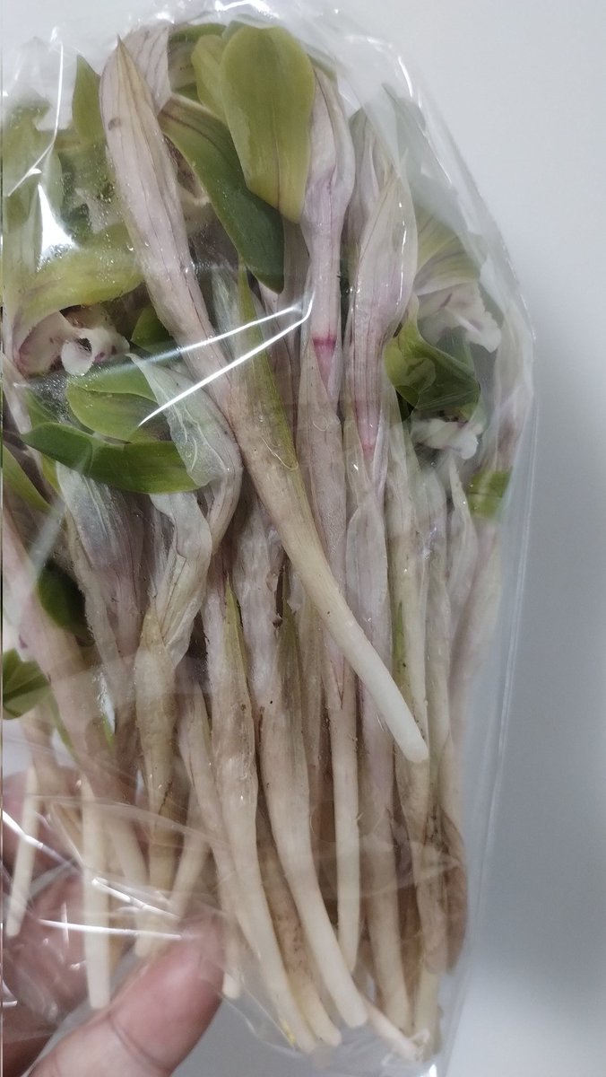 佐俣雄一郎 tweet media