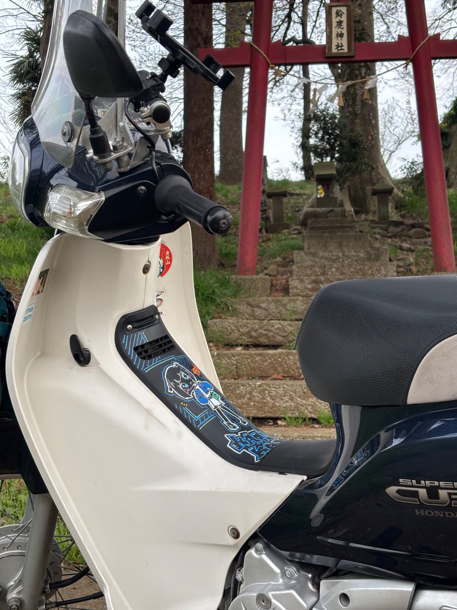 けもけも tweet media