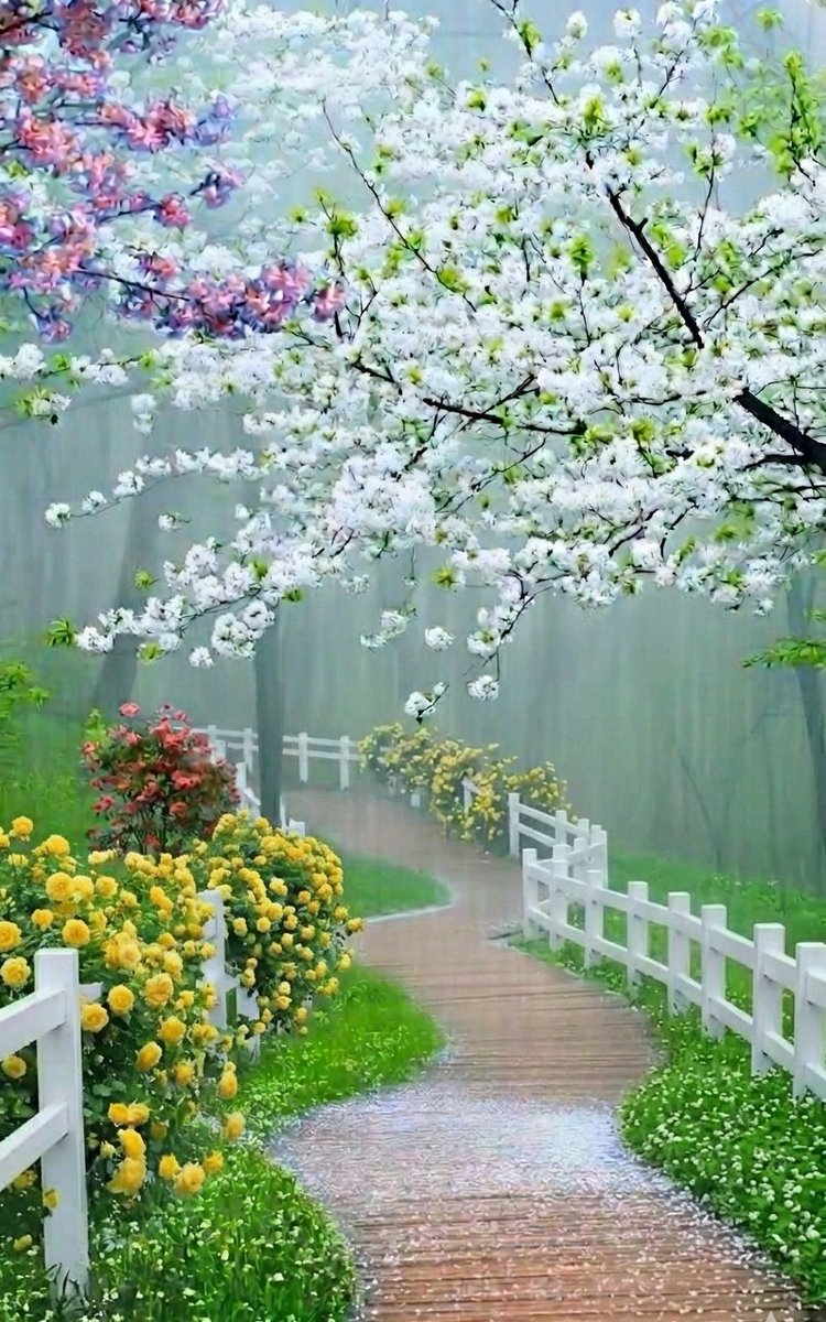 ❣JOHN❣ tweet media