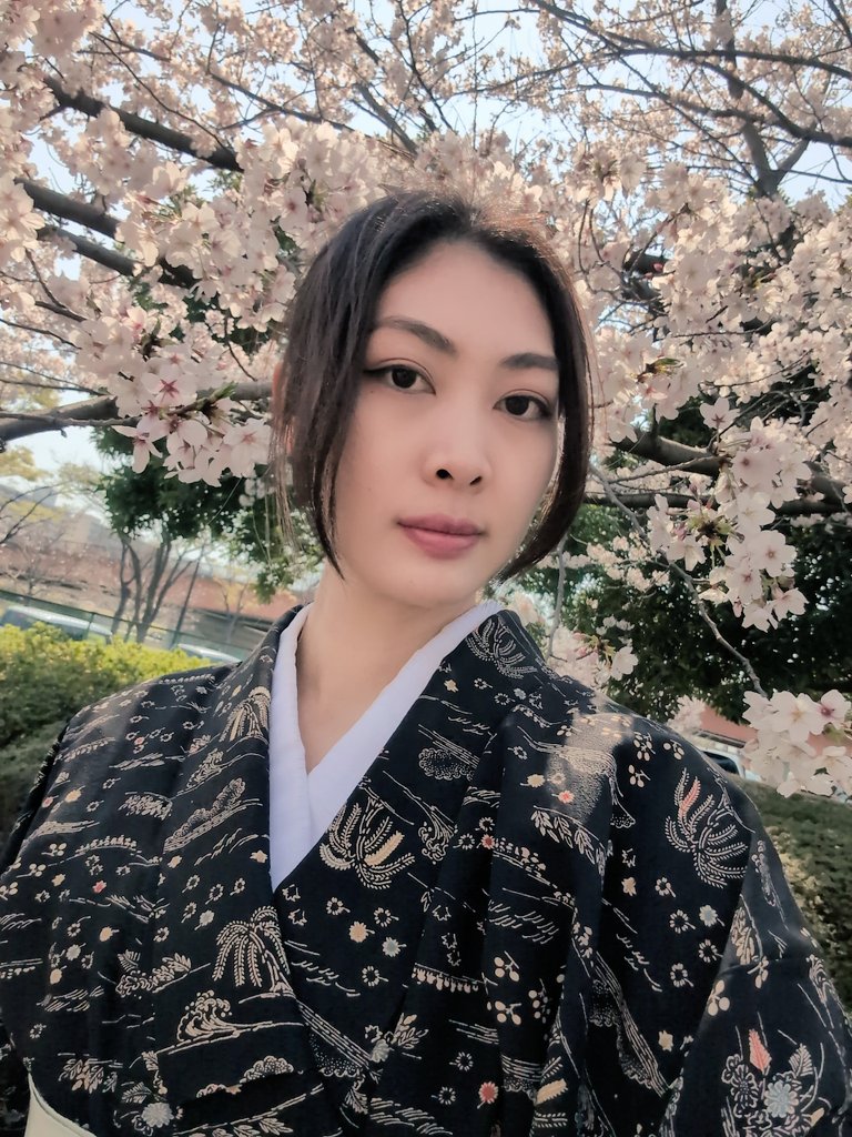CatSupika's tweet photo. 桜の季節🌸

小学生の入学祝いで学校から桜の苗木をもらったことがきっかけで、桜には何かしらの縁があると思っていて。

去年は慌ただしくていけなかったけれど、今年はちゃんと花見に行けました！

春を感じれた１日…幸ですなぁ。
私の桜の木は、今年も咲いてくれているかな…？ https://t.co/D9QVogK4vP