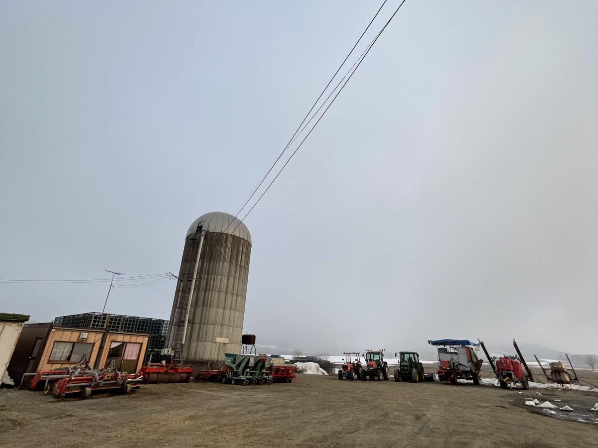 hiroshi62 tweet media