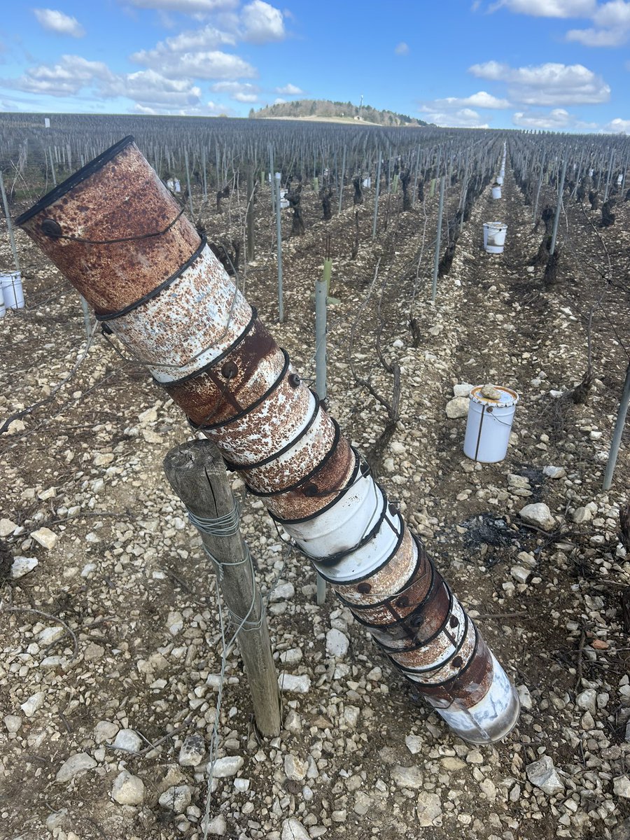 Emmanuel BONNIN tweet media