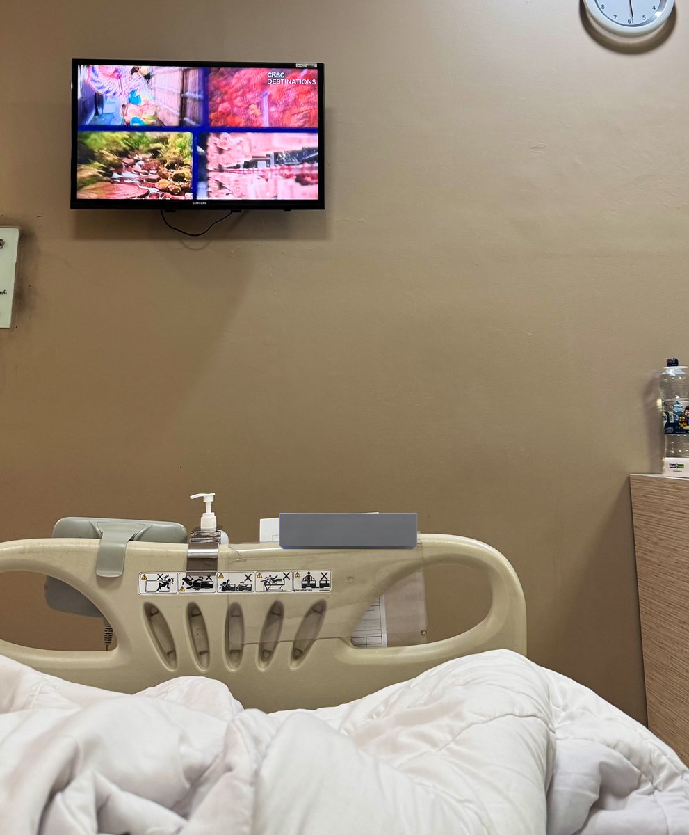 🌼🧚‍♀️ tweet media