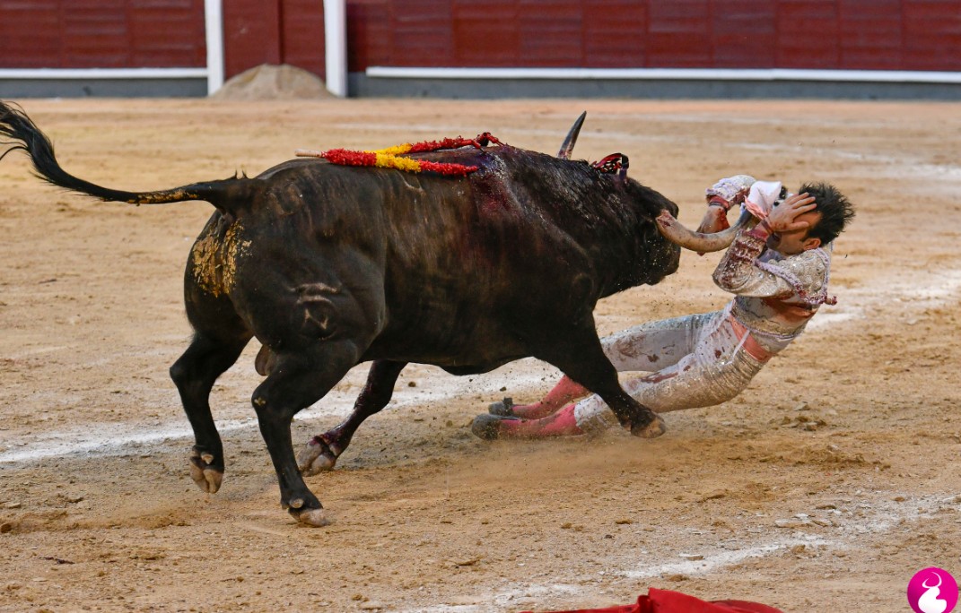 Alfonso Santiago tweet media