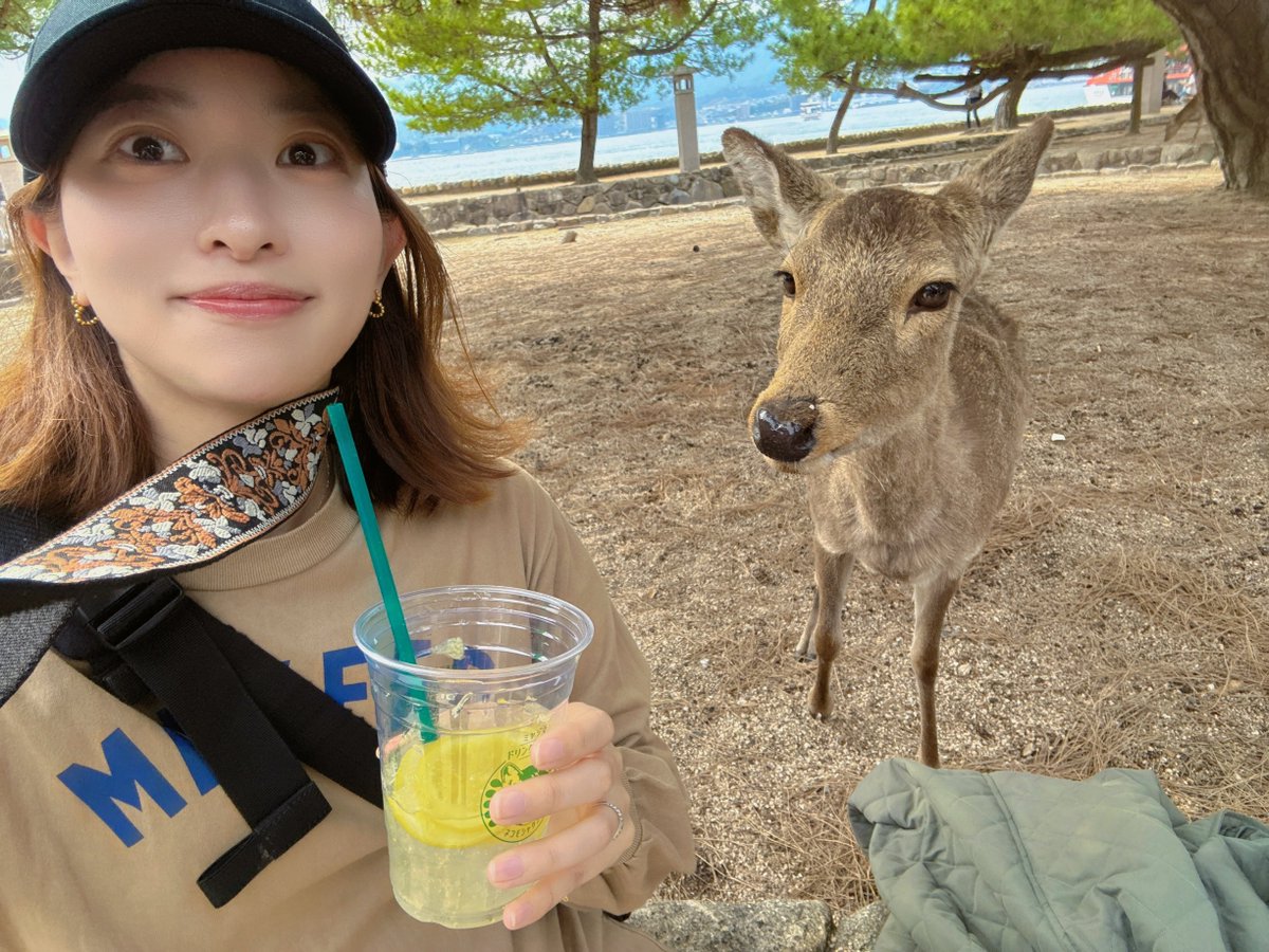 GSG｜倉持由香 tweet media