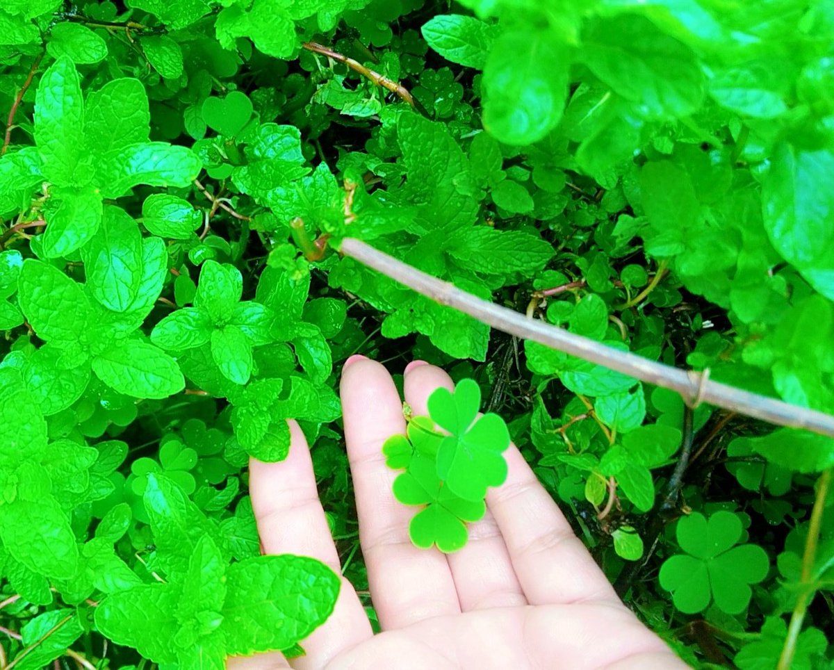 𝐒𝐮𝐩𝐞𝐫 𝐆𝐢𝐫𝐥 𝟖𝟎𝟒 🇵🇰 tweet media