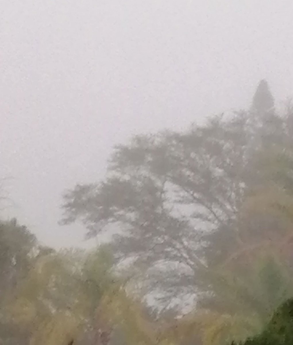 ReenvalSA tweet media