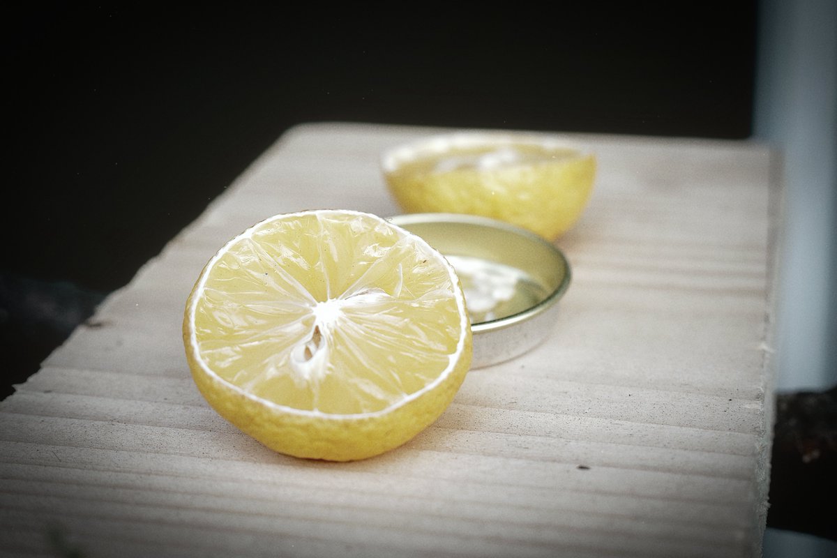 daifuku.photo tweet media