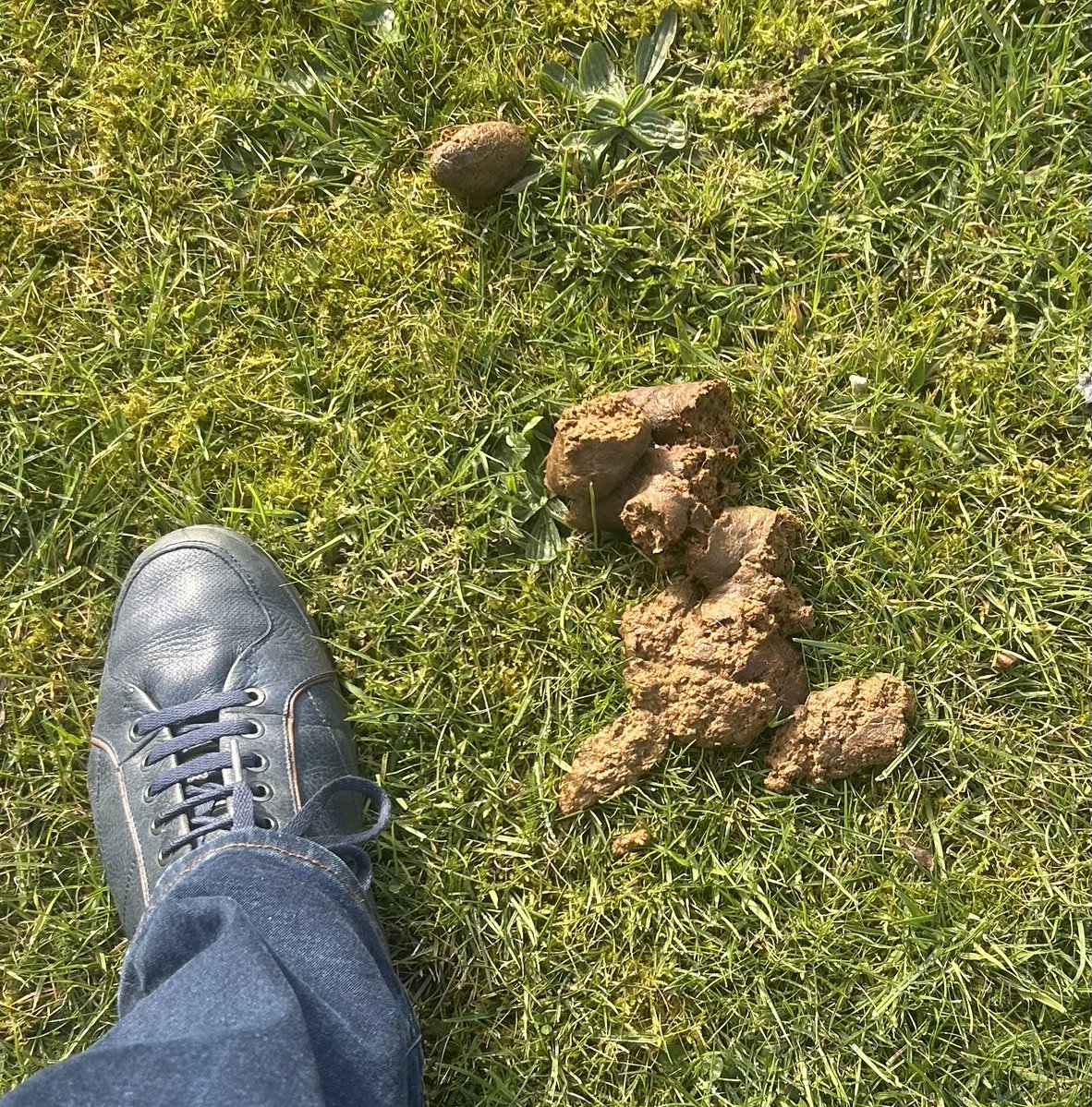 Bernie M tweet media