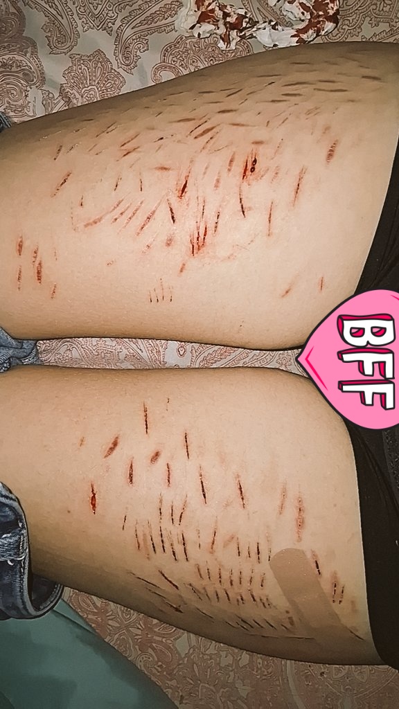 ׁ ׅ lucelia of shedtwt ࣪ ִֶָ🌷་༘࿐ tweet media