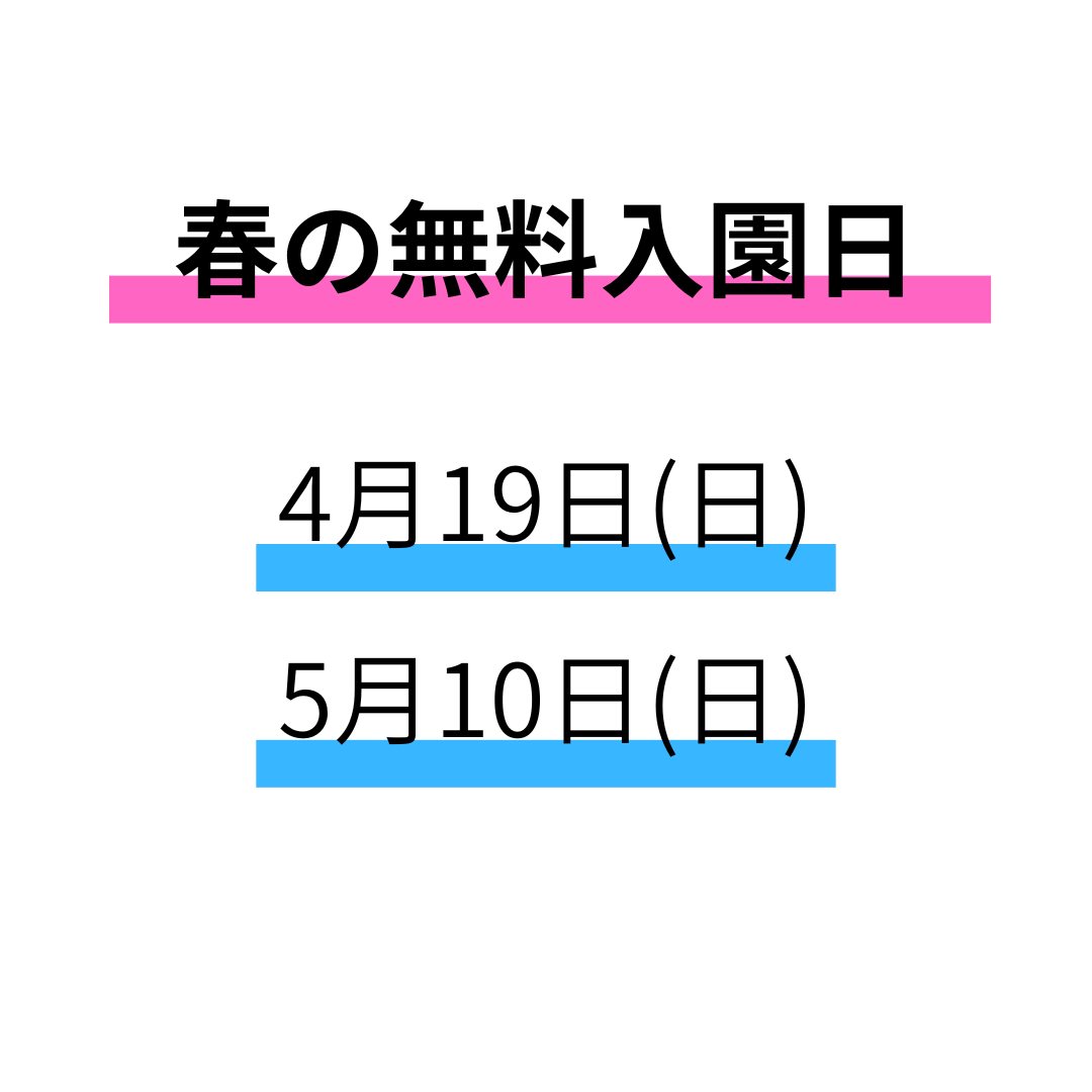 海の中道海浜公園 tweet media