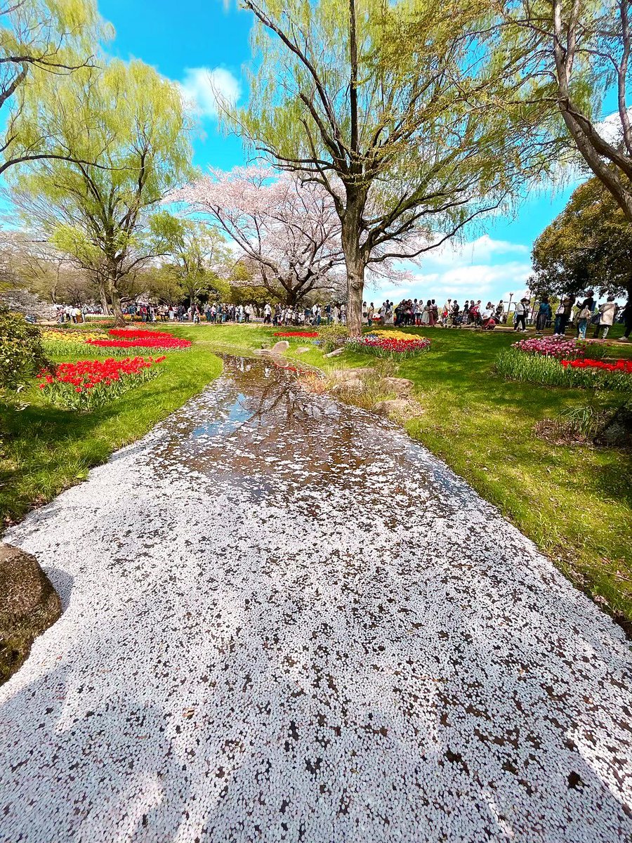 _chai_1121's tweet photo. 桜🌸
春がやってきたね https://t.co/YZbcE2qTY9