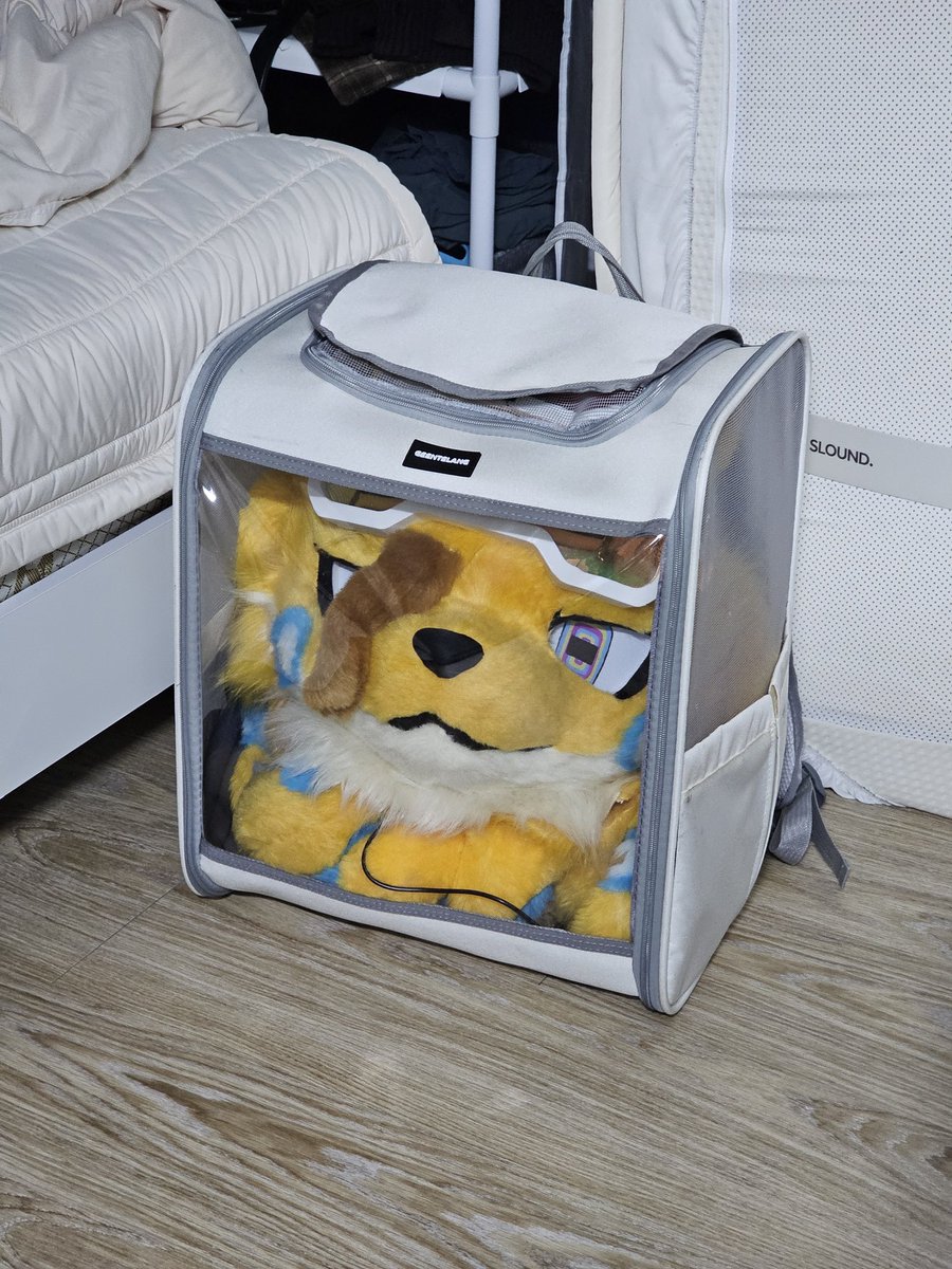 Zerribbo🐙 tweet media