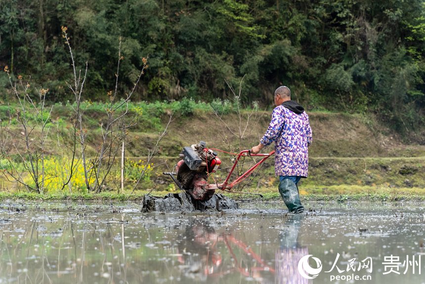 PDChinese's tweet photo. 【貴州鳳岡：梯田春耕忙】春耕時節，貴州省鳳岡縣進化鎮紅安村的千畝梯田內，一派繁忙景象。層層疊疊的梯田順著山勢鋪展，如大地的指紋。 https://t.co/mefGwP56eb