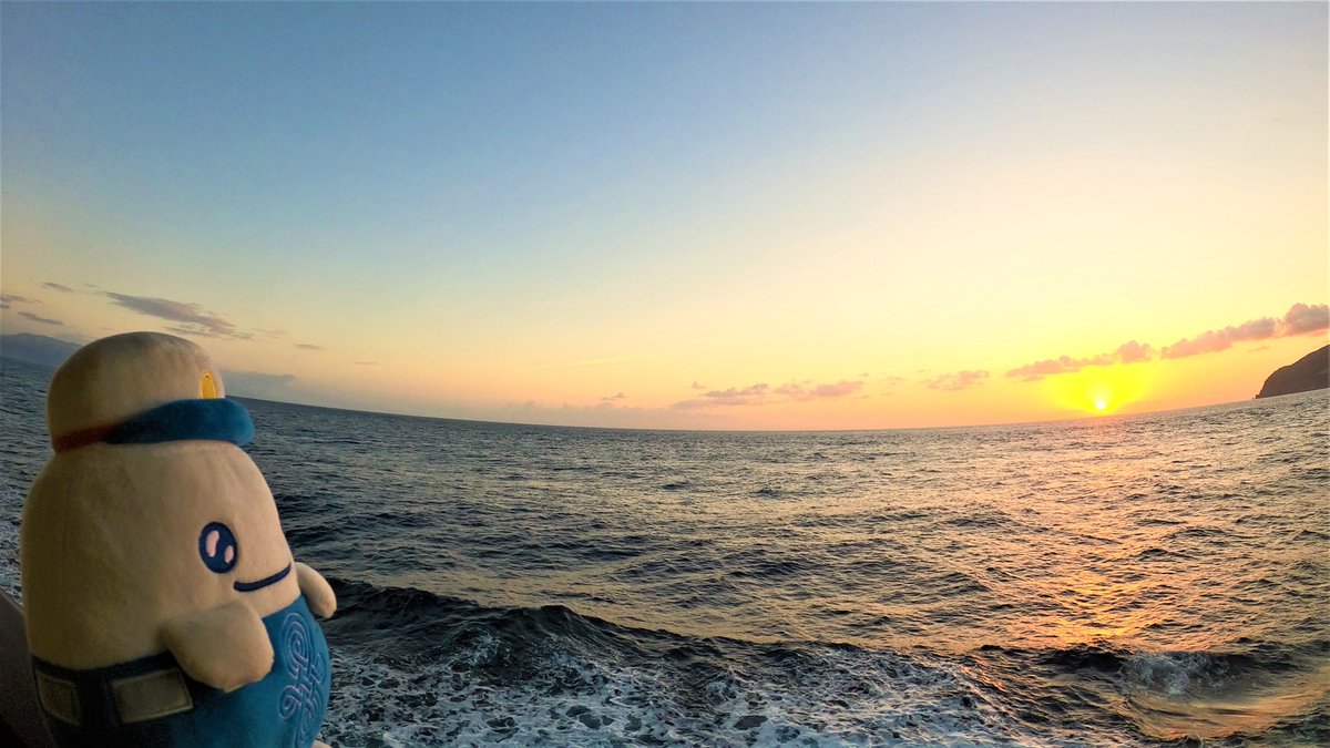 【公式】東海汽船 島ぽち&はこぶね課-東京諸島-から特産品を直送！ tweet media