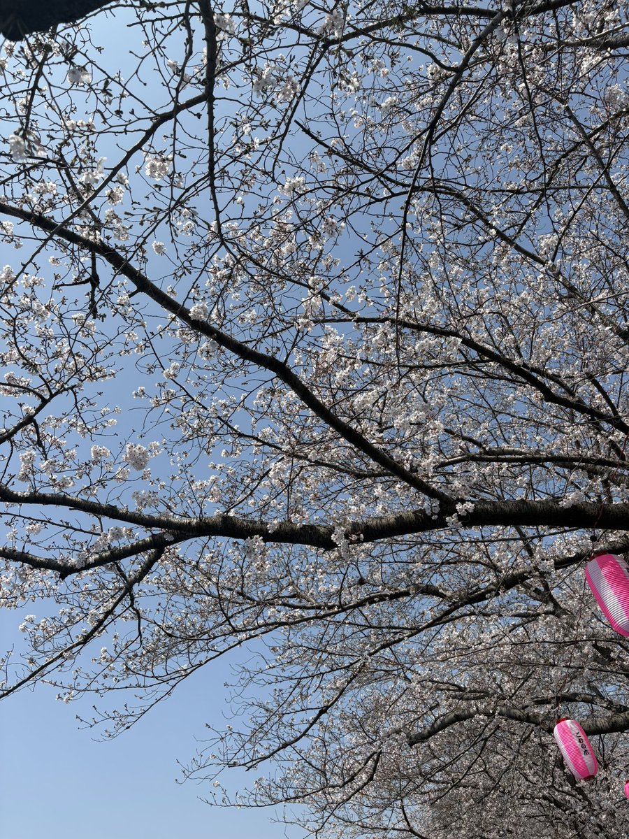 阿久津侑也 tweet media