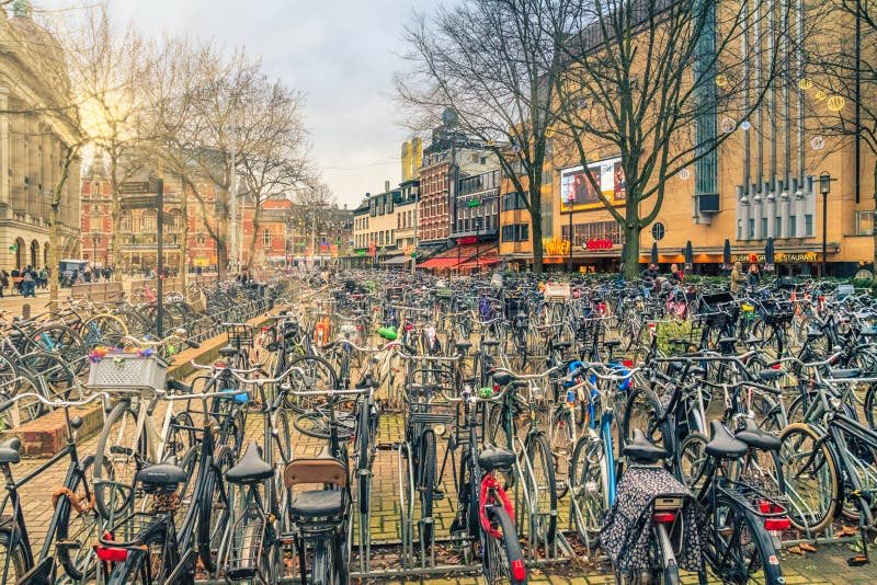 ZimLingo tweet media