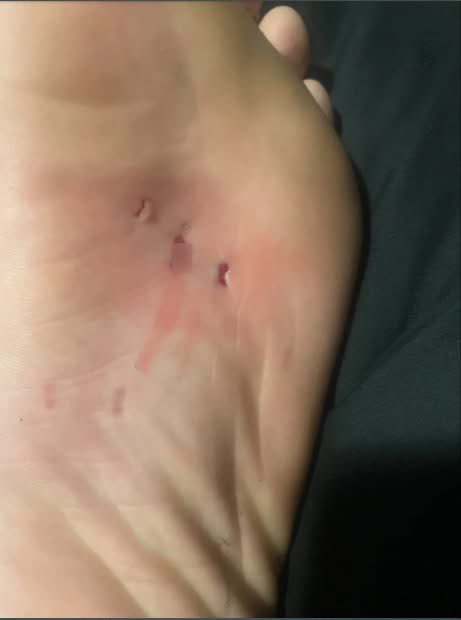 Chase👑 tweet media